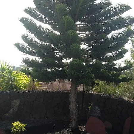 Holiday home Coloradas 15