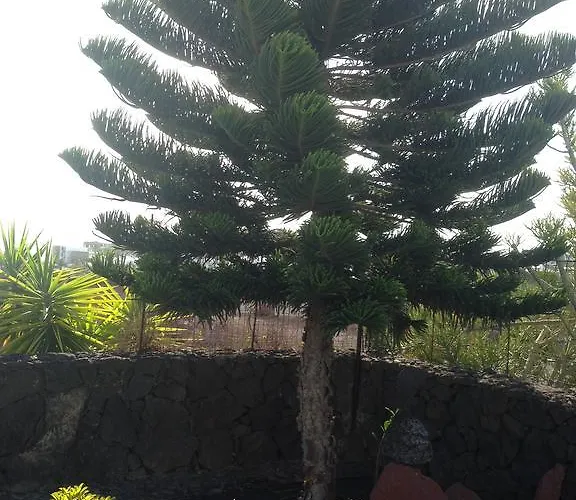 Holiday home Coloradas 15